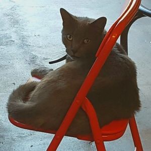 Meet your Posher, Charity